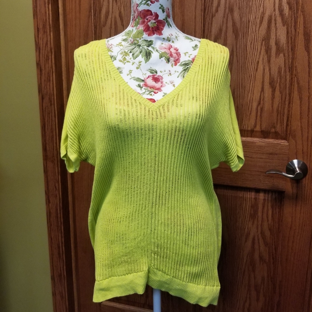 Torrid Short Sleeve V-Neck Sweater